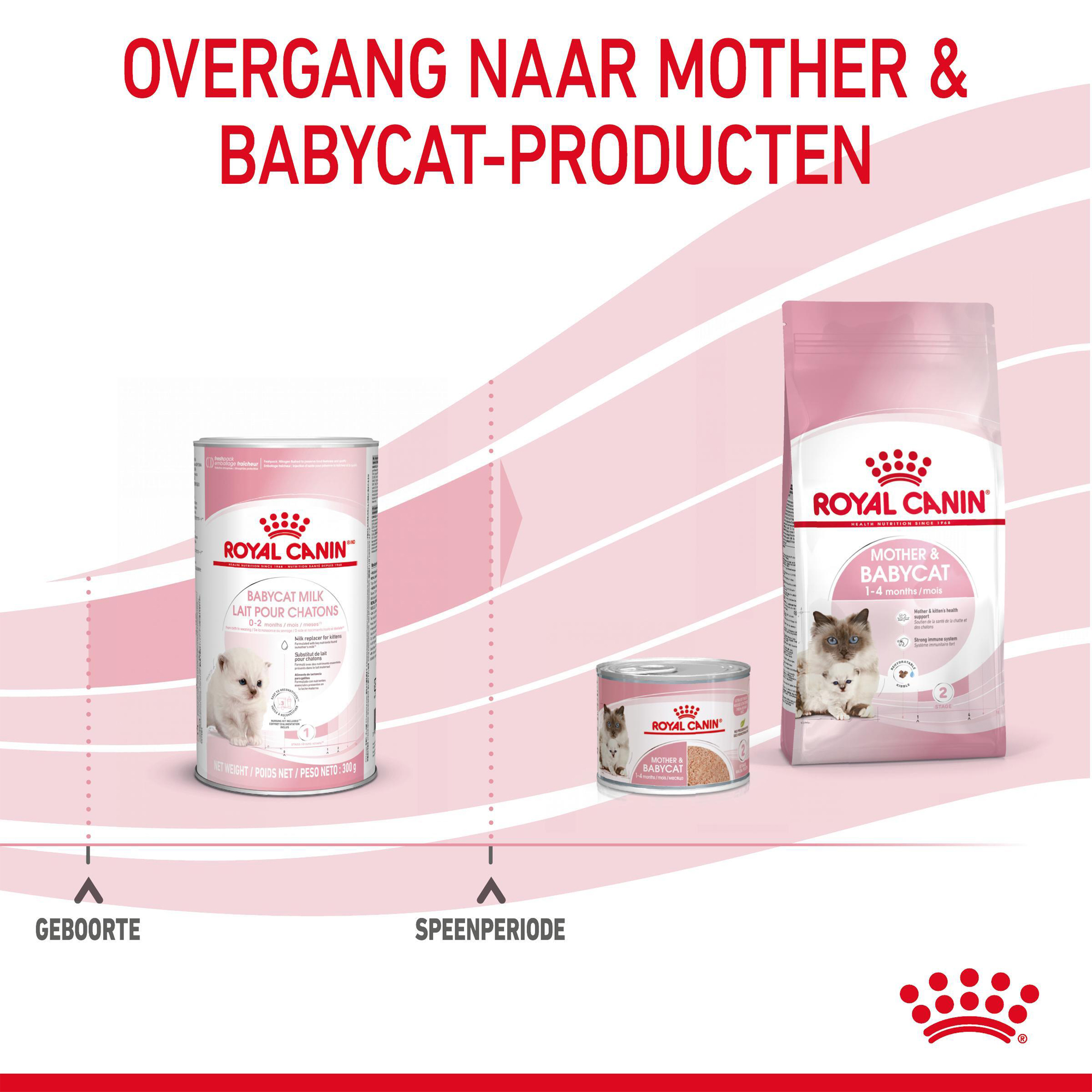 Royal Canin Vet Care Babycat Milk
