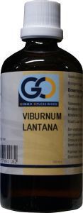 Go Viburnum lantana 100ml