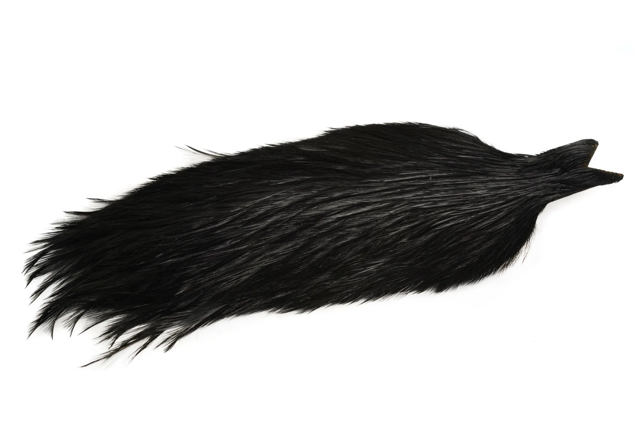 Whiting Coq De Leon Cape