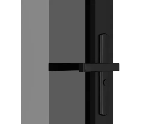 Porte intérieure 76x201,5 cm Noir Verre ESG et aluminium