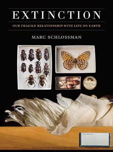 Extinction (Hardback)