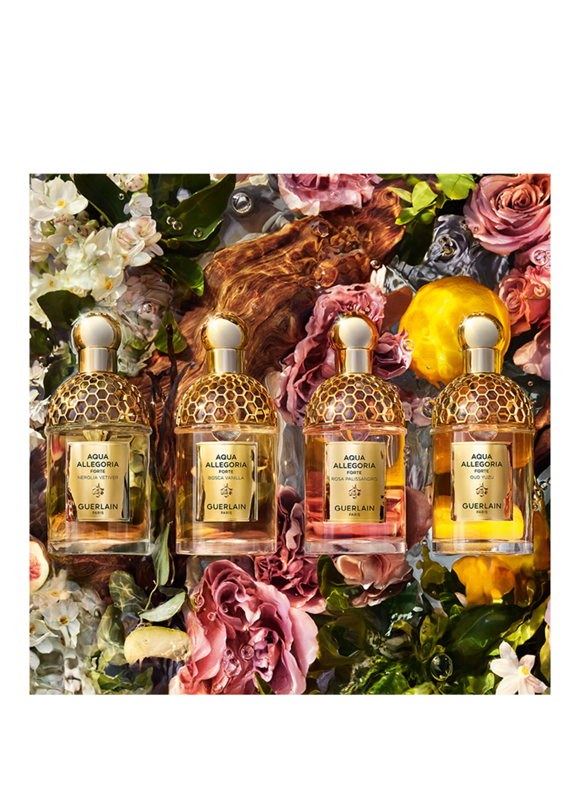 GUERLAIN AQUA ALLEGORIA FORTE BOSCA VANILLA