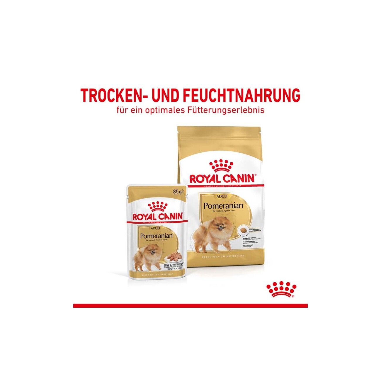 ROYAL CANIN POMERANIAN BREED ADULT Trockennahrung für ausgewachsene Zwergspitze (>8 Monate) 1,5 kg