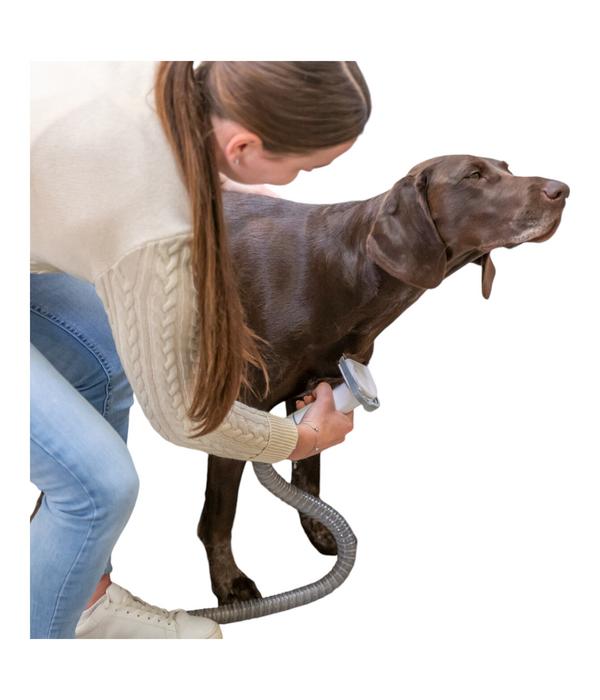 Trixie Tier-Schermaschinenset mit Fellsauger,