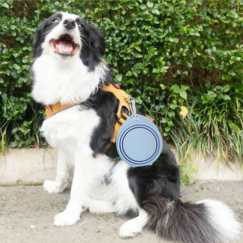 2in1 Faltbarer Silikon Doppel Hunde Napf Reise Wasser Schale mit Karabiner Haken - Grau