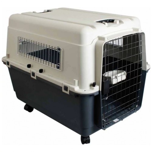 Transportador de animais de estimação multicolorido