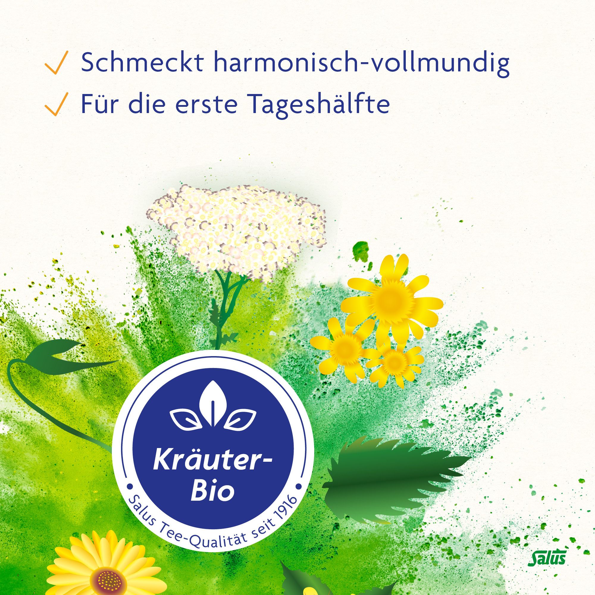 SALUS® Basen-Aktiv® Kräutertee Nr. 1 Brennessel-Linde