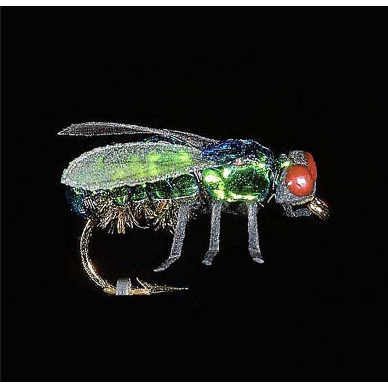 Mouche Jmc Insectes Réalistes Noire