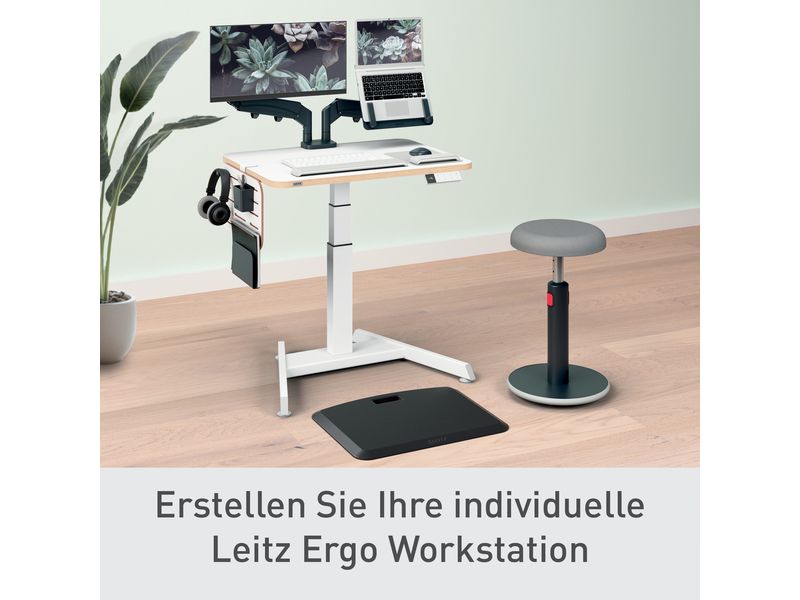 Leitz Ergo Schreibtisch-Organizer Klein, Weiss Schreibtisch-Aufbewahrung
