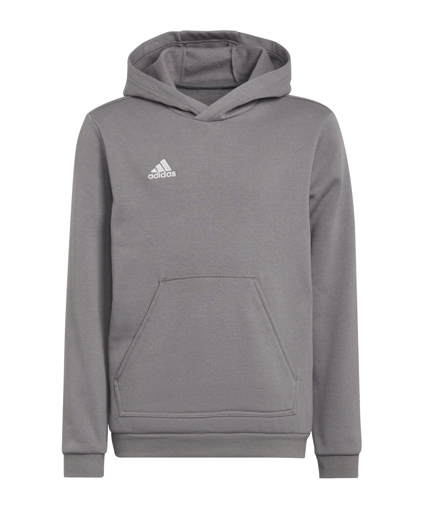 adidas Entrada 22 Hoody Kids Grau