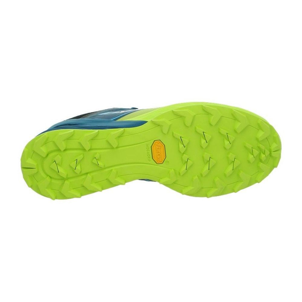 Dynafit ALPINE - Chaussures trail Homme magnet/frost