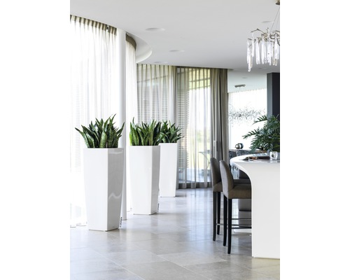 Lechuza Cubico Alto 40 plantenbak complete set H 105 cm wit