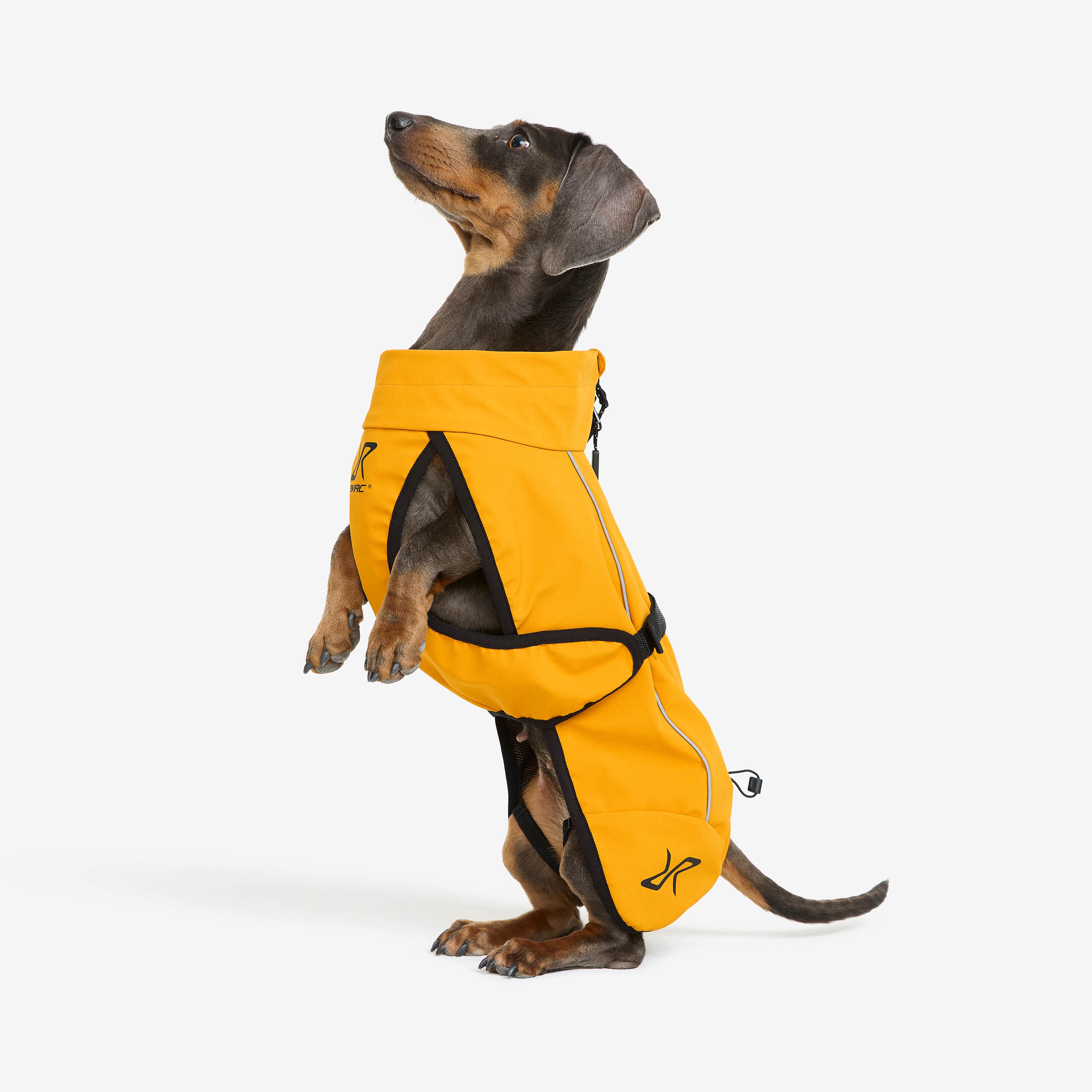 Cyclone Dog Jacket Hund Golden Yellow
