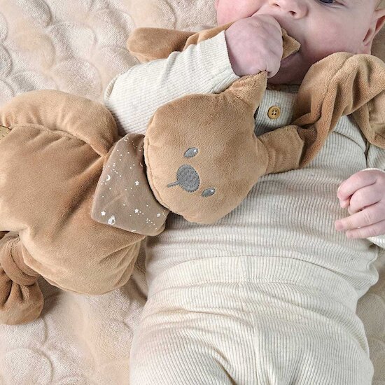 Lapidou peluche lapin + bandana - Glow in the dark    Moka        de               Nattou