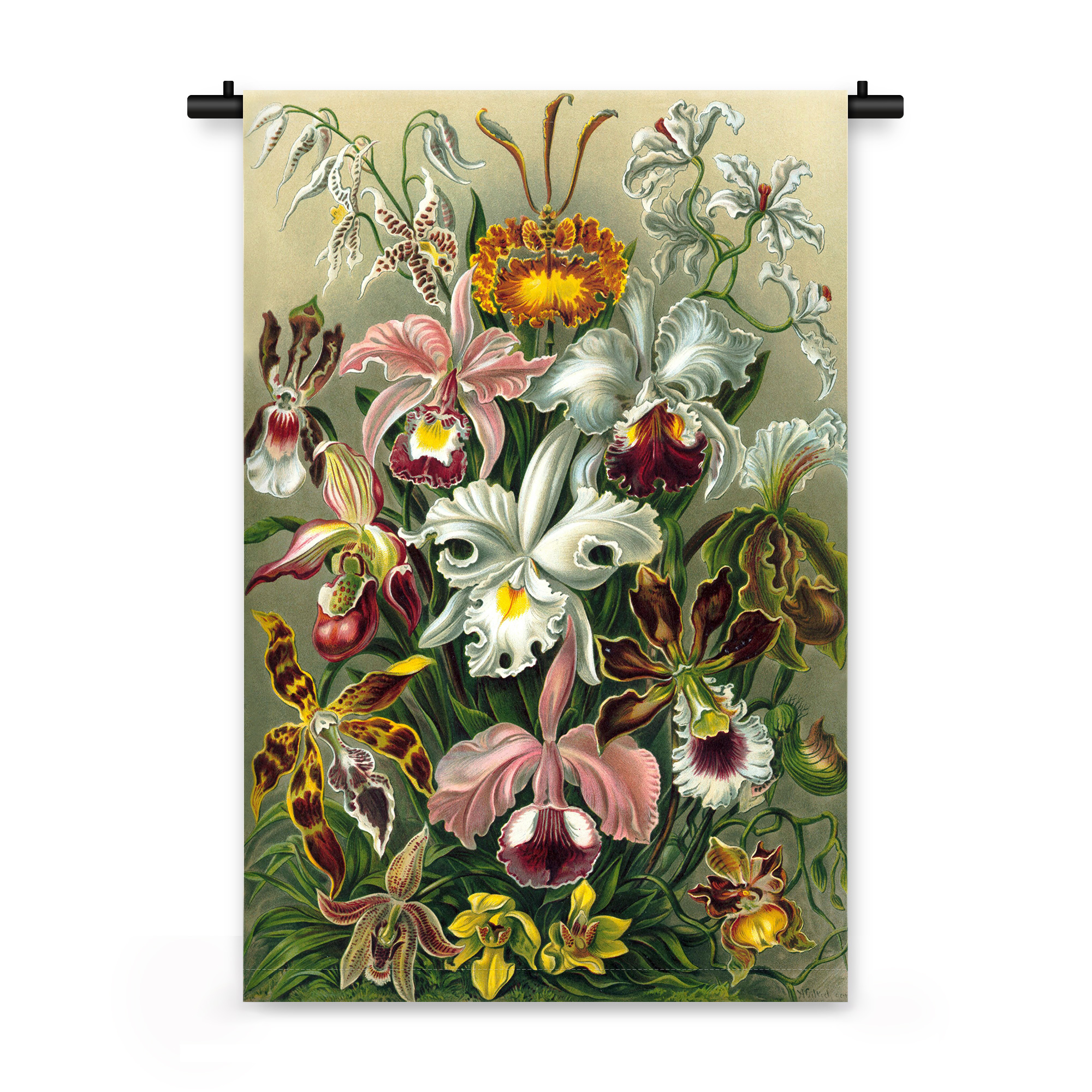 Wandkleed Illustratie van exotische bloemen 150 x 100 cm