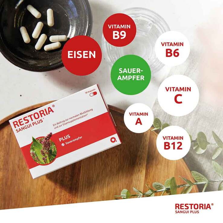 Restoria Sangui Plus Kapseln, 30 St
