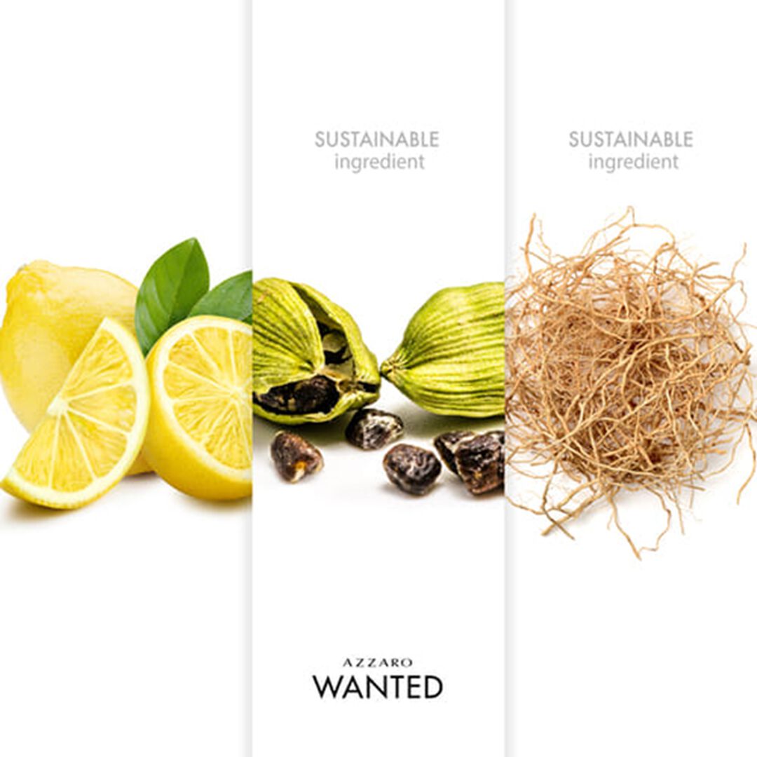 AZZARO Wanted Eau de Toilette - 100ml
