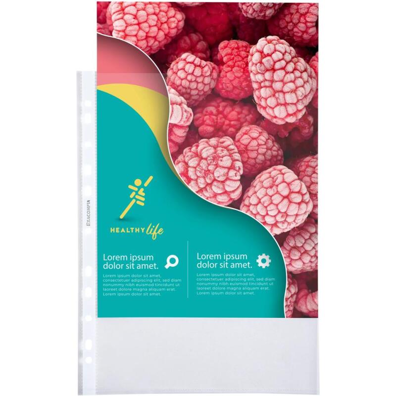 Sachet de 100 pochettes perforées polypropylène grainé Qualité + - A4 - Cristal
