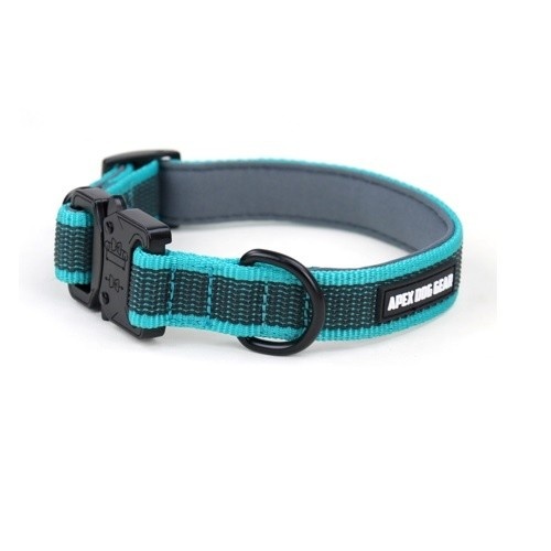 Coleira ajustável APEX DOG GEAR com fecho de metal turquesa para cães