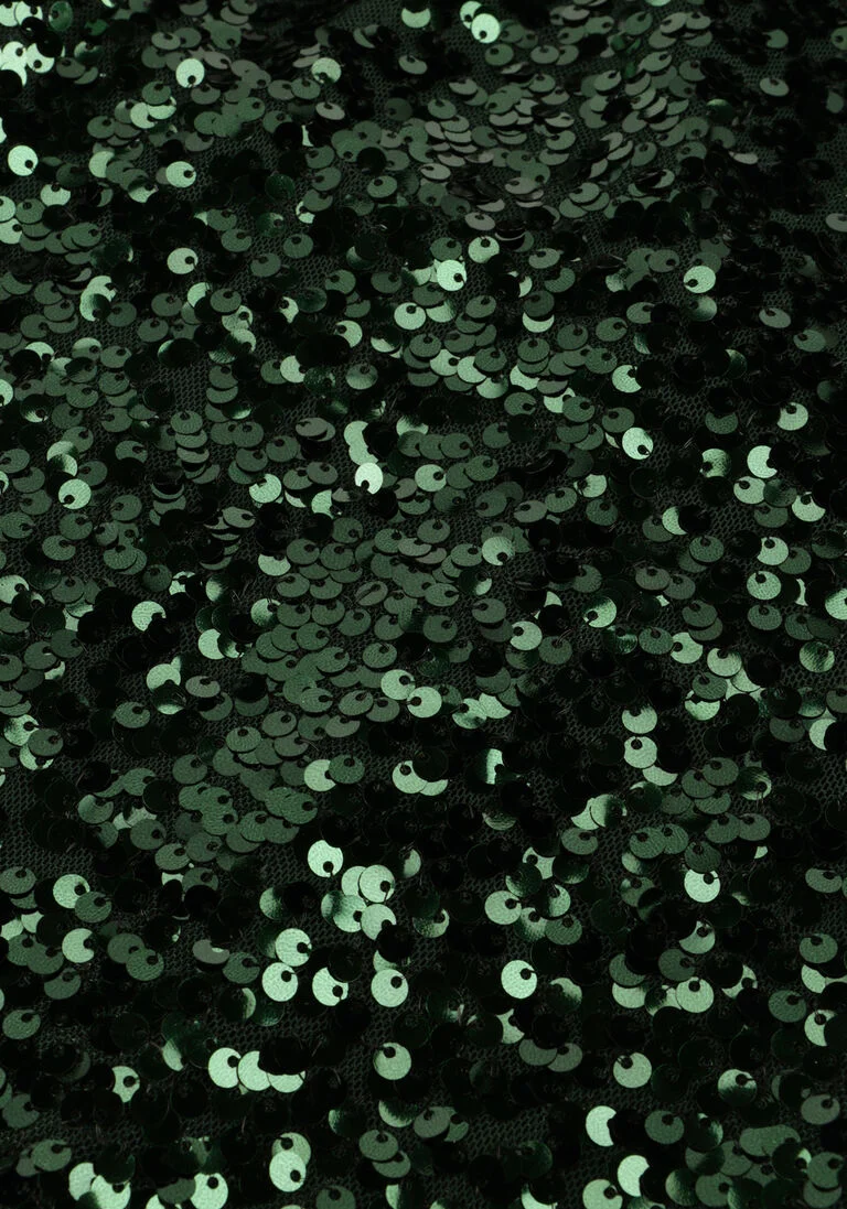 NEO NOIR groene neo noir mini jurk ezra sequins dress