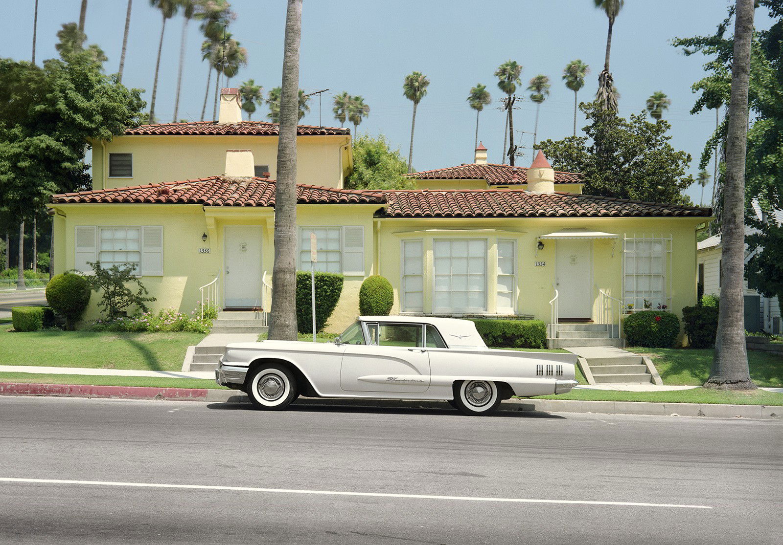 Thunderbird by Tim Bradley - Limited Edition. Edition of: 150. Signed.