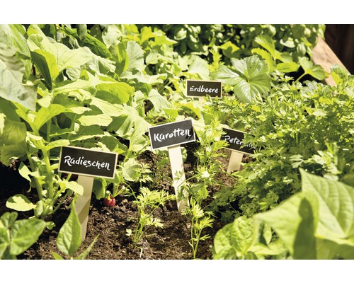 FloraSelf krijtbord plantenlabels, 10 stuks
