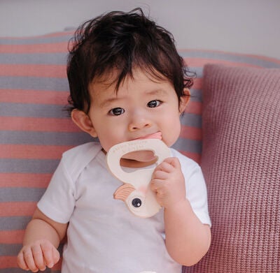 Hevea Kawan Teether Biteleke And