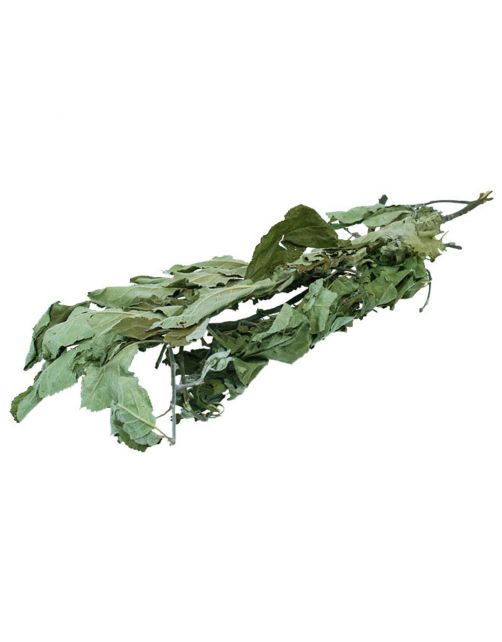 Jr Farm Appelboom-Oogst - Ruwvoer - 16x3x60 cm 40 g
