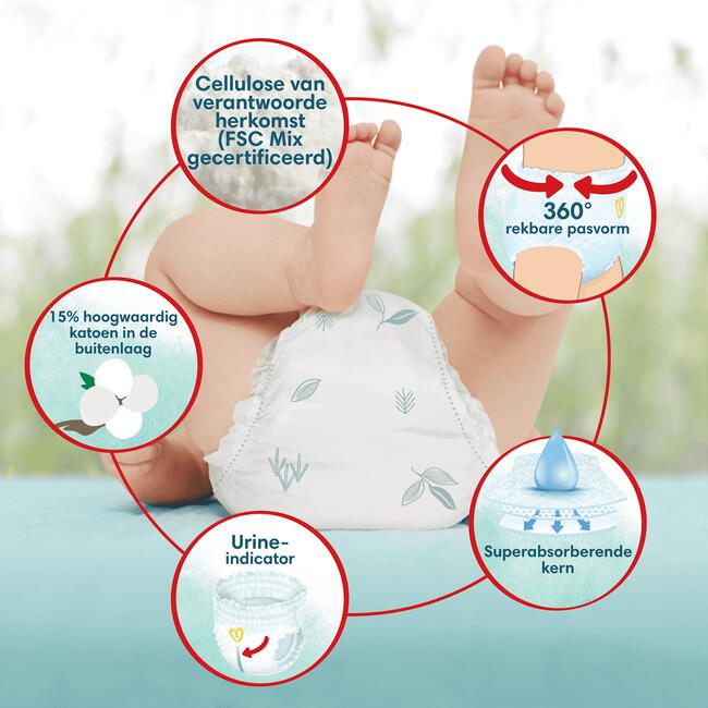 Pampers Harmonie Pants Luierbroekjes Maat 6 15+ KG 24 stuks