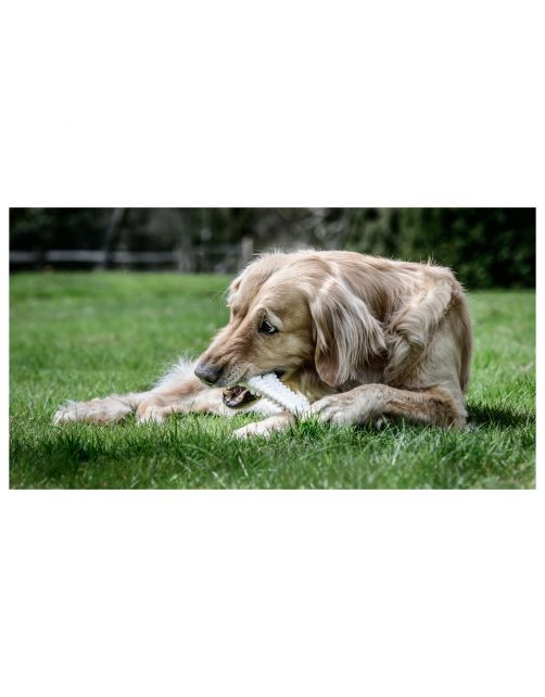Nylabone Durachew Bone Souper Xl - Hondenspeelgoed