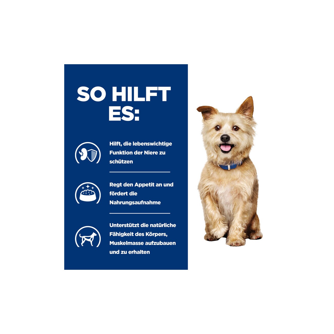 Hill's Prescription Diet Kidney Care k/d 12 kg