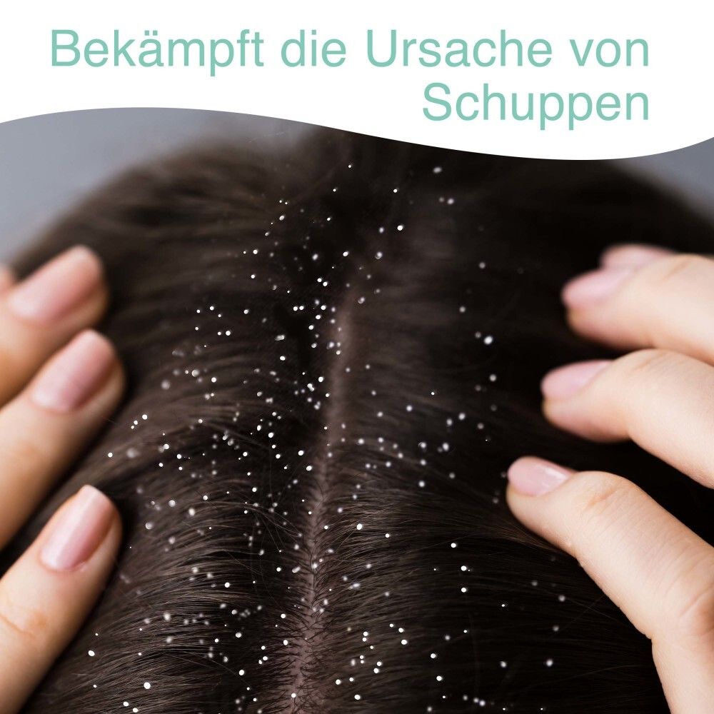 STIEPROX Classic Shampoo bei leichten Schuppen