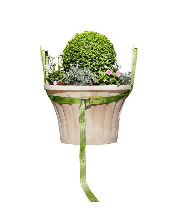 Bio Green Tragegurt für Kübelpflanzen,