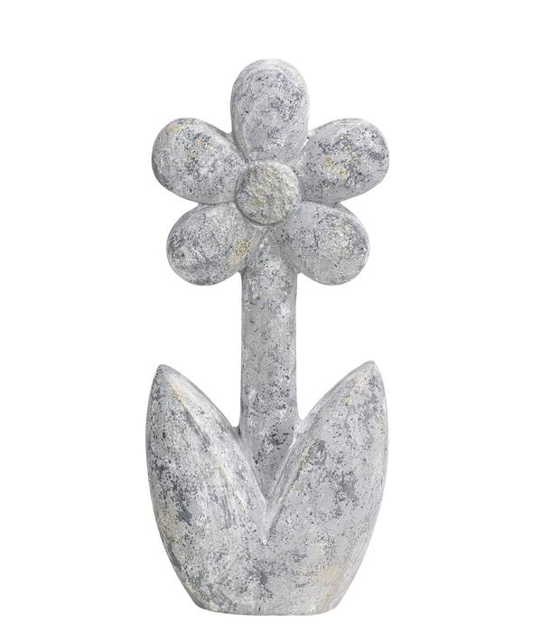 Dehner Magnesia-Blume