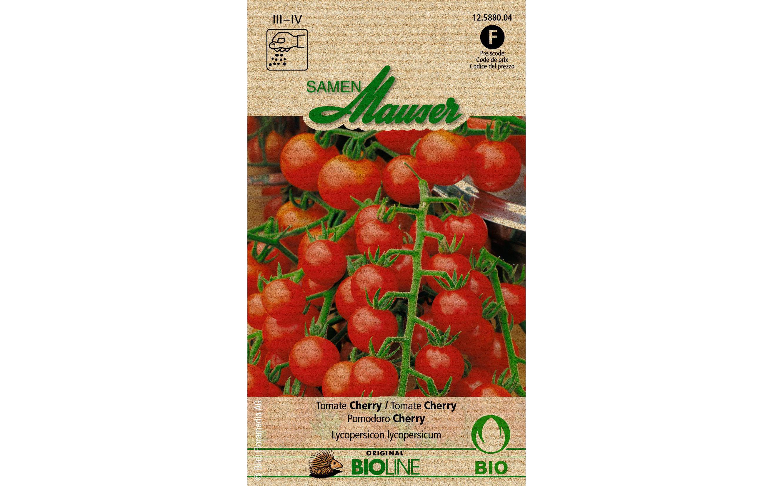 Samen Bioline Tomate CherryGemüsesamen