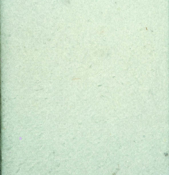 Ubbink vijver veiligheidsvlies 500 x 200 cm