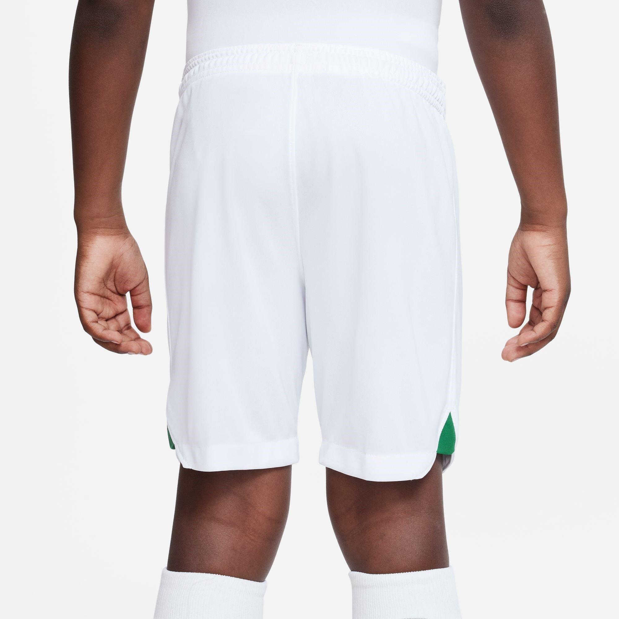 Nike Nigeria Home Match Shorts 2022 Juniors