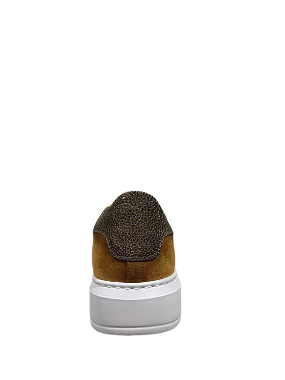 Harris Paul/22 Camoscio Piuma