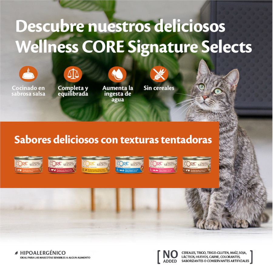 Atum em flocos Wellness Core em lata, 79g, para gatos.
