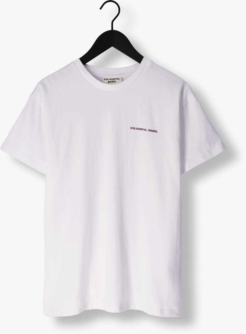 COLOURFUL REBEL witte colourful rebel t-shirt summer essence boxy tee