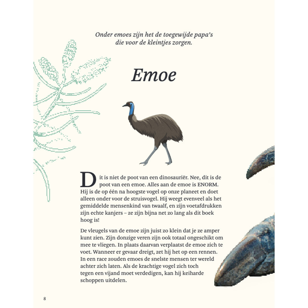 Uitgeverij lannoo het dikke boek van alle bijzondere vogels