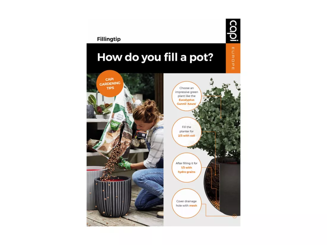 Vase élégant Groove 34x46 cm noir