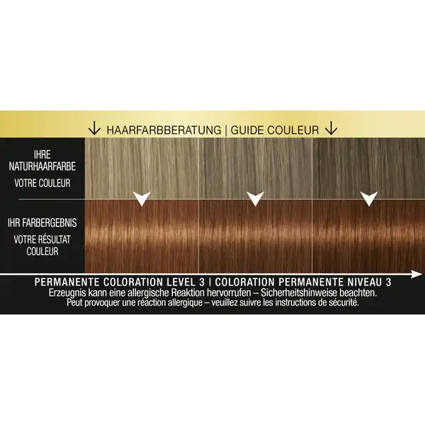 Professional Performance Oleo Intense Permanente Öl-Coloration 6-76 Warmes Kupfer
