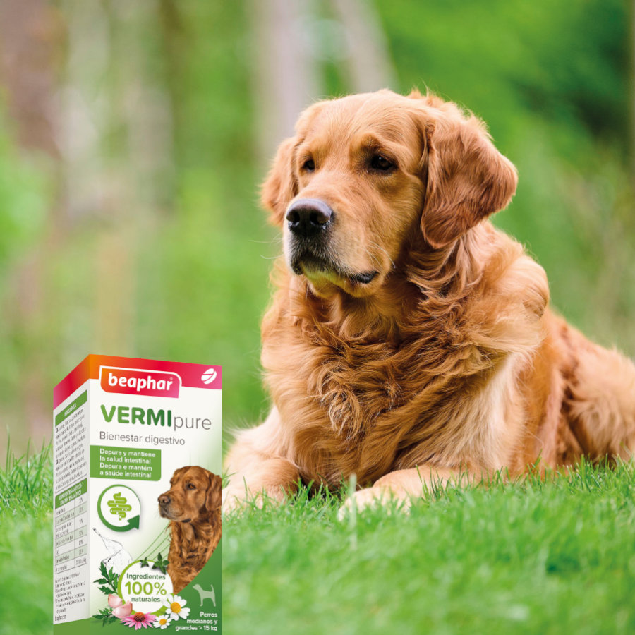 Comprimidos repelentes internos naturais Beaphar Vermipure para cães de porte médio e grande.