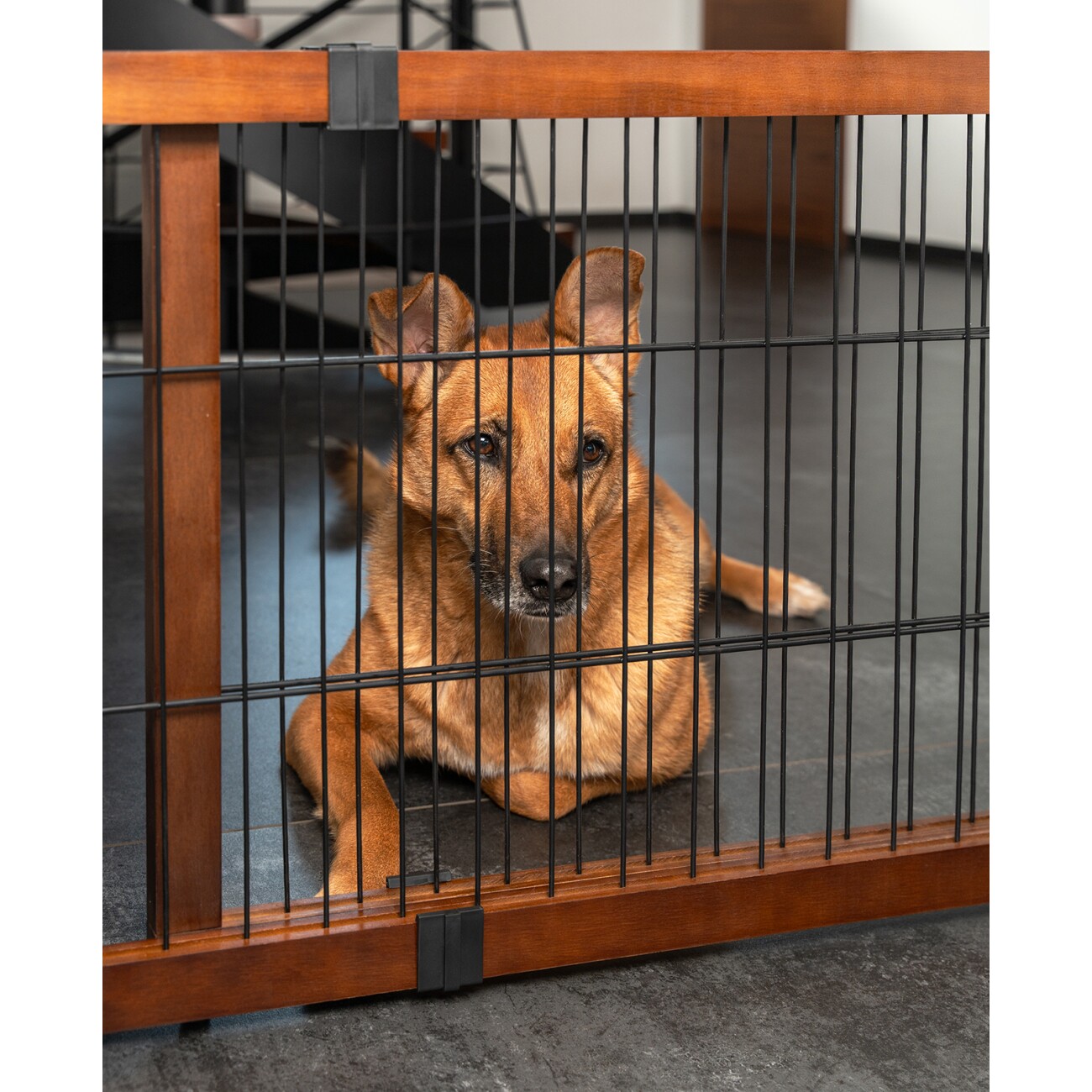 Lionto Absperrgitter EasyGate