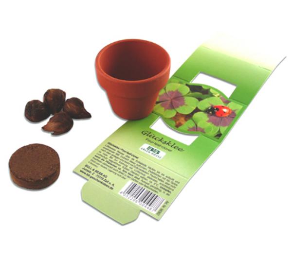 Pflanzset Glücksklee