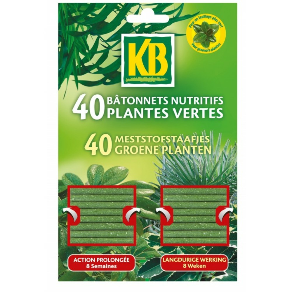 Bâtonnet nutritif - plante verte - lot de 40