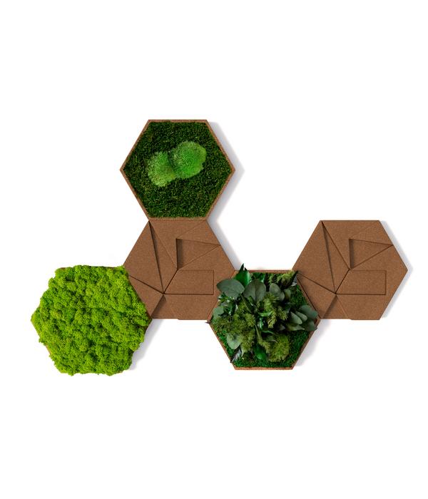 styleGREEN Bilder-Set aus Moos und Kork,