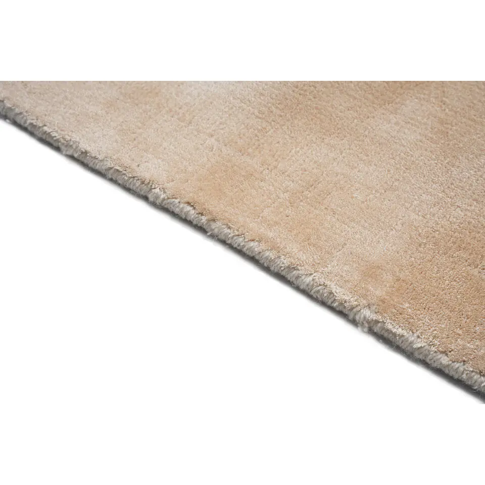 Dutch Lifestyle - Viscose - Vloerkleed - 160x230cm - Beige