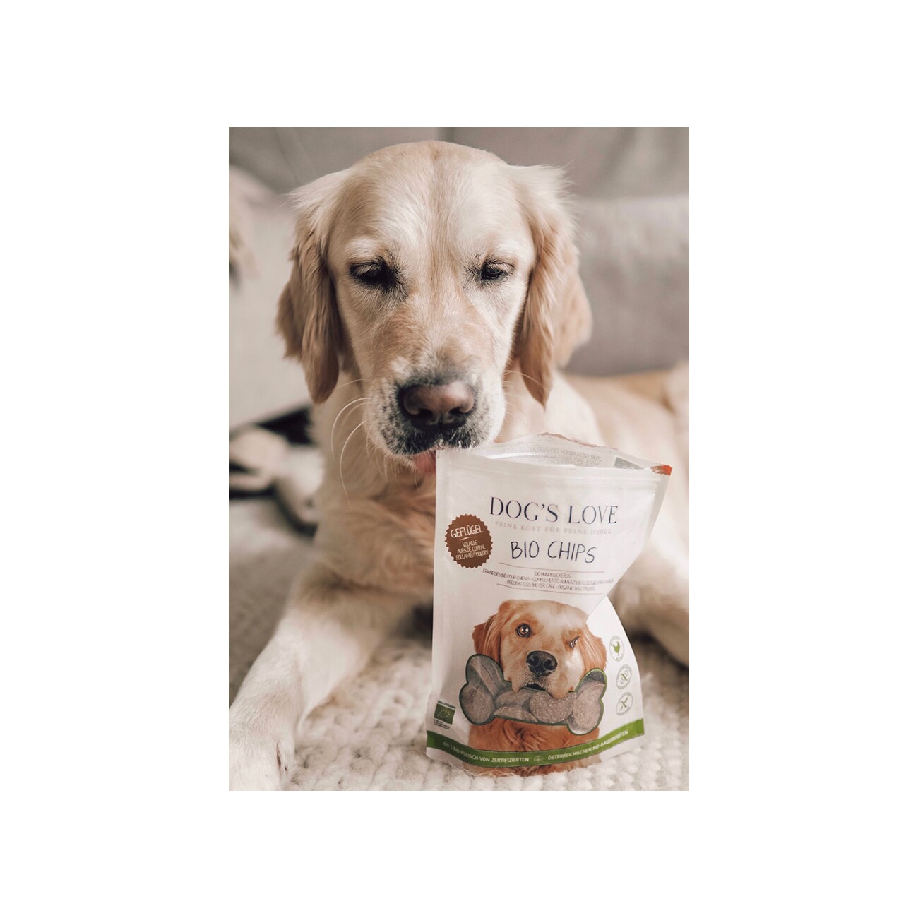 DOG'S LOVE CHIPS BIO Geflügel